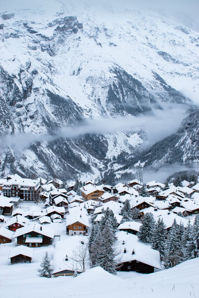 Winter View
